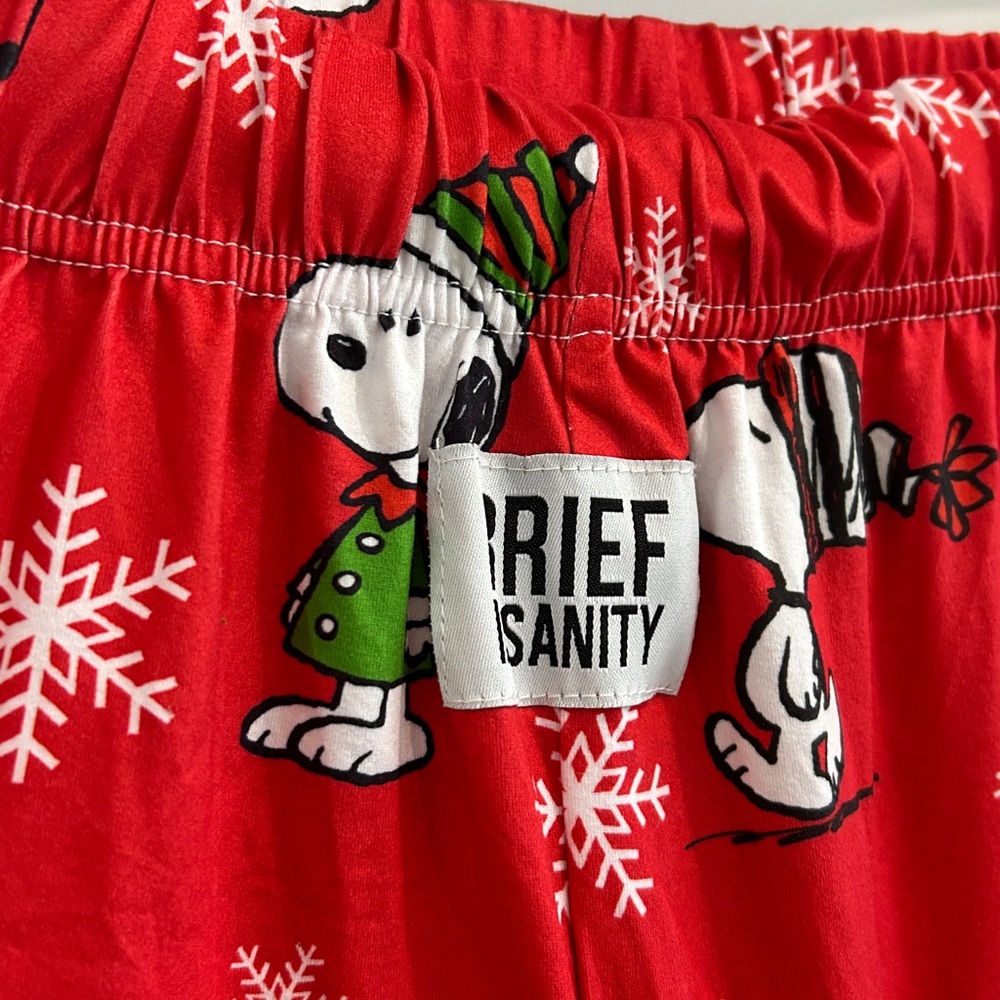 NWT BRIEF INSANITY Peanuts Snoopy All over Graphics Prints |Size Large unisex - Picture 3 of 9